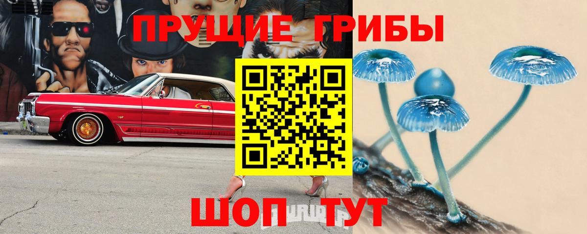 Псилоцибиновые грибы GOLDEN TEACHER Боровичи